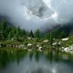 Meet your Posher, Yang